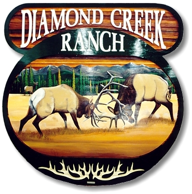 Diamond Creek