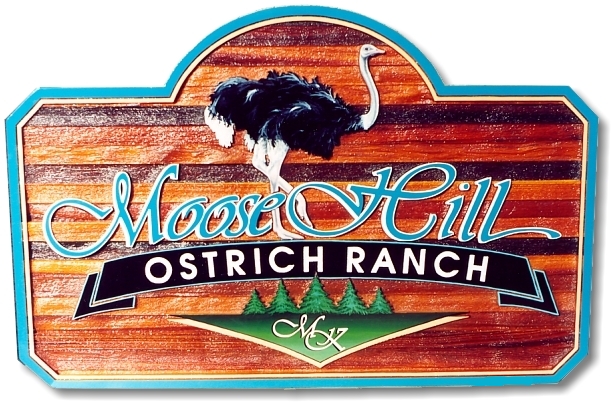 Moose Hill Ostrich Ranch