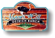 Moose Hill Ostrich Ranch